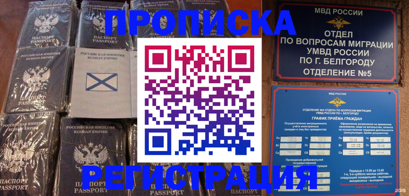 прописка гарантия в Липецкая области